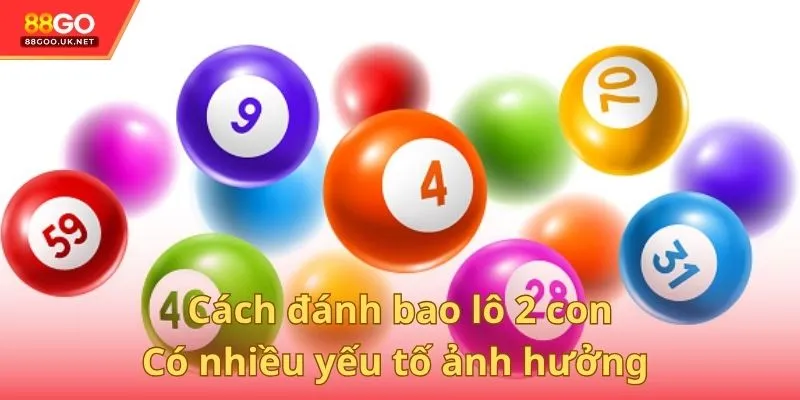 Có nhiều yếu tố ảnh hưởng đến bao lô 2 con