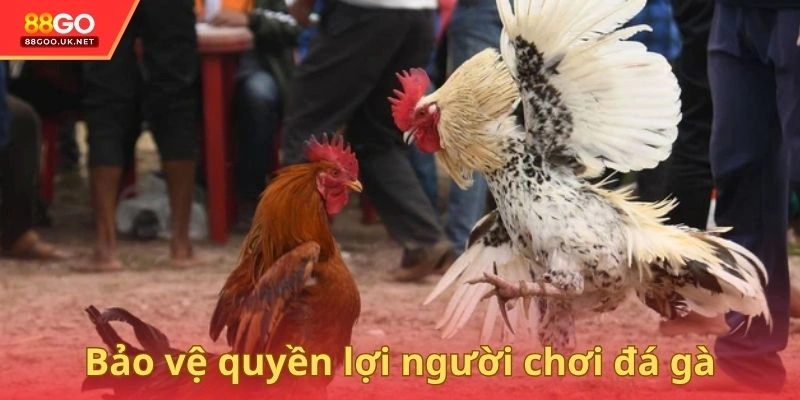 Điểm mạnh trong bảo vệ quyền lợi người chơi