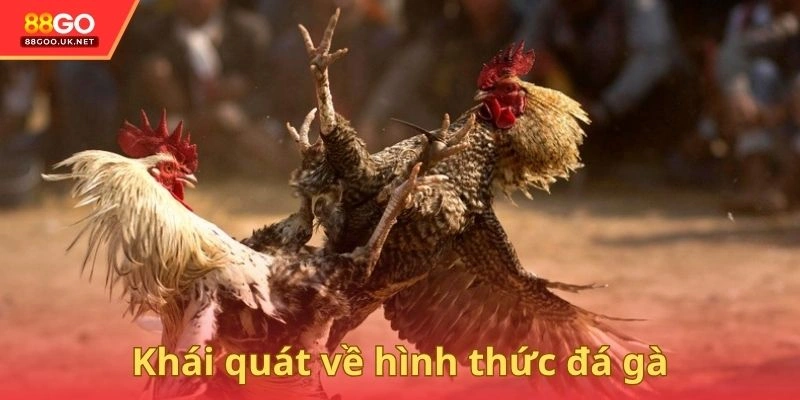 Sơ lược về chuyên mục đấu chiến kê