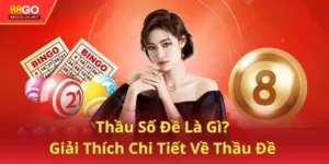 Thầu Số Đề Là Gì? Giải Thích Chi Tiết Về Thầu Đề Cho Người Mới
