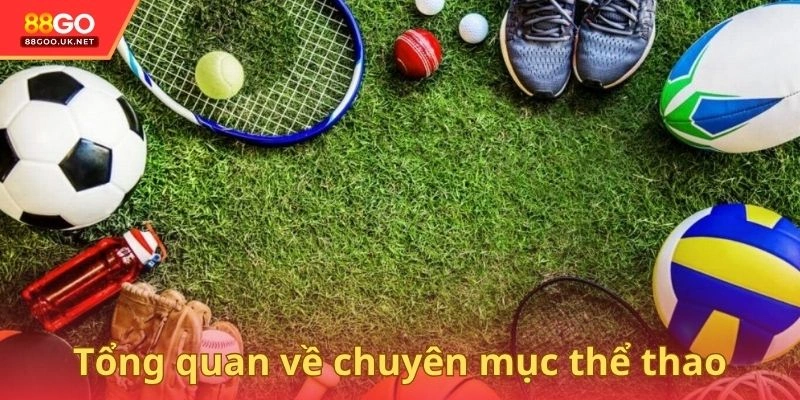 Khái quát về chuyên mục thể thao với sự uy tín